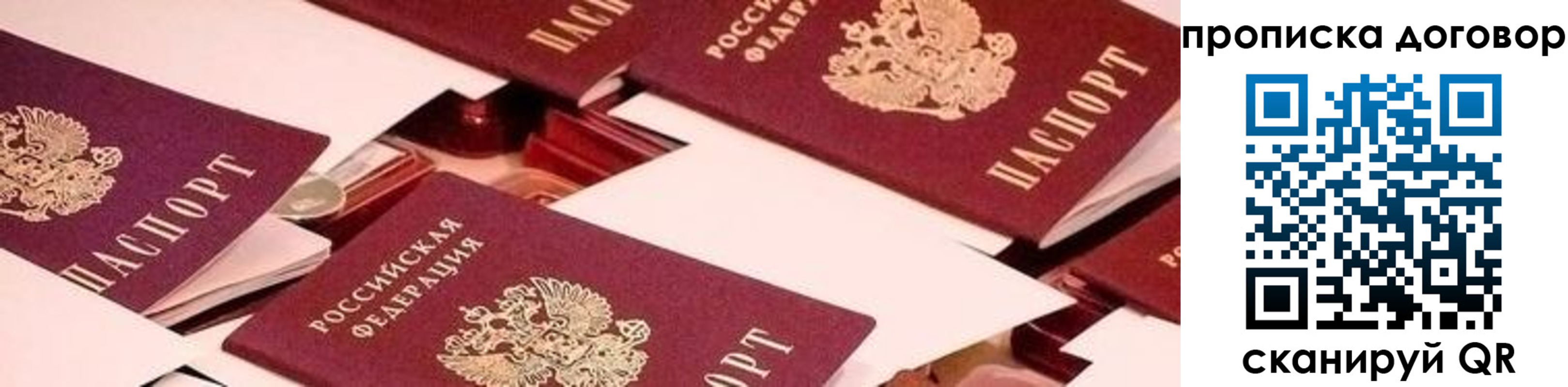 прописка для школы в Можайске